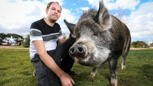 Matthew Evans and his pig Grunt.