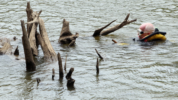 Volunteer diver Peter Wright during a search for  a missing man in the Murray River just before Christmas in 2013. 