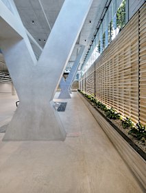 Xero’s office boasts light-filled spaces.  