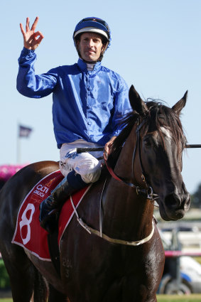 True blue: Hugh Bowman gives a trademark salute on Avilius.