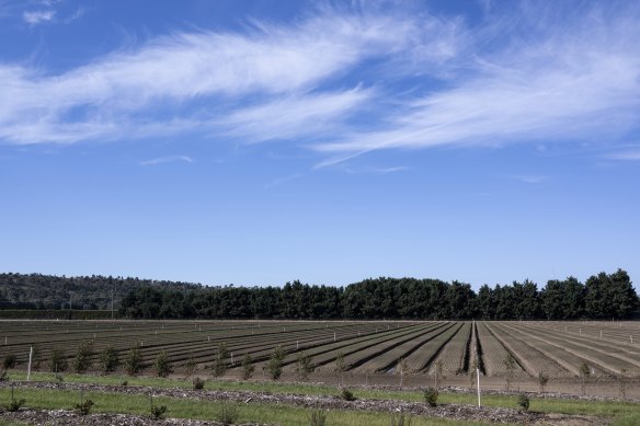 Bacchus Marsh has to balance the push for more housing with its fertile land for growing food.