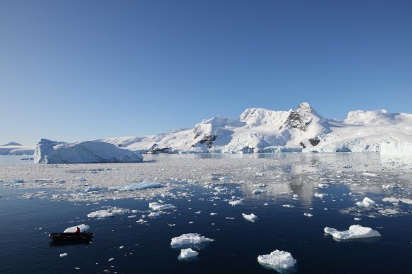 Swimming in ice soup.