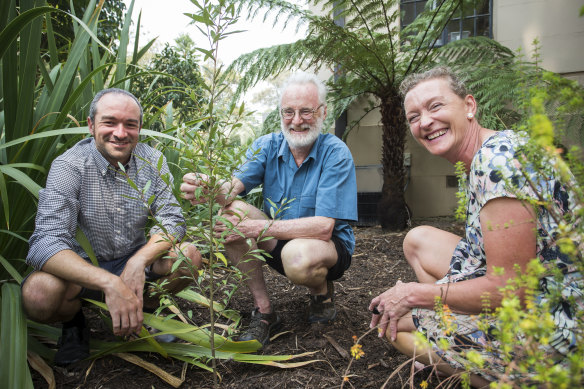 Royal Botanic Gardens Seed bank officers (from left) Andre Messina, Neville Walsh and Meg Hirst have been germinating rare or threatened plant species for many years.
