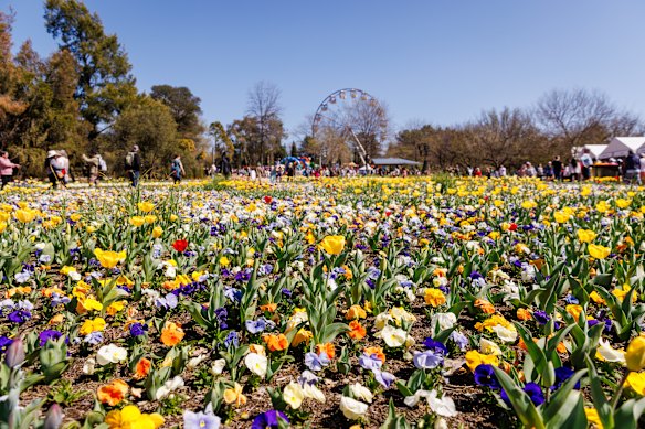 Floriade festival in Canberra’s spring.
