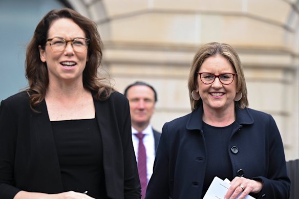 Premier Jacinta Allan and then Attorney-General Jaclyn Symes announced the new laws in November.
