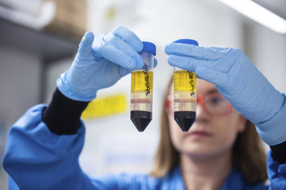 A researcher in a laboratory at the Jenner Institute in Oxford, England, works on the coronavirus vaccine developed by AstraZeneca and Oxford University. 