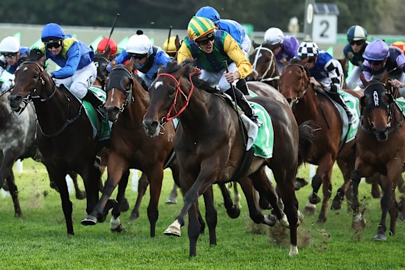 Ceolwulf wins the 2024 Epsom at Randwick in October under Chad Schofield.