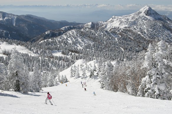 The slopes at Nagano in Japan. 
