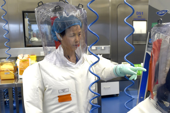 A scientist at the Wuhan Institute of Virology, in Wuhan, China.