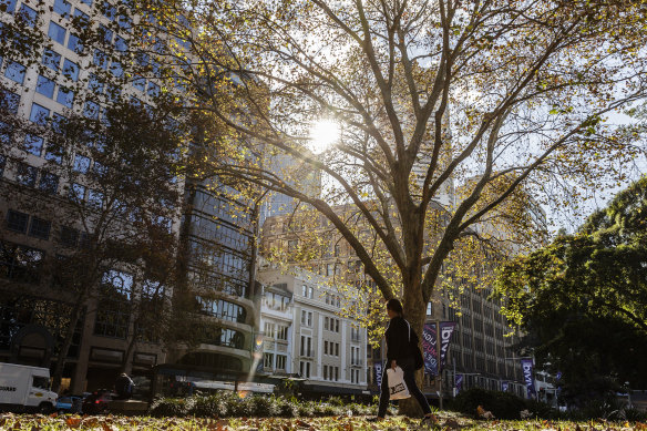 Autumn sunshine in Hyde Park, as seen in a file picture.