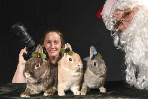 Behaving themselves: Photographer Julie Hansen poses with rabbits Lady, Marco and Cinnamon Buns while Santa (Jo Harris) looks on.