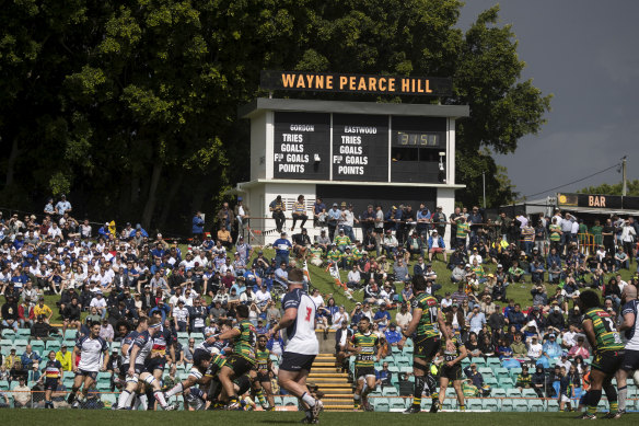 Wayne Pearce Hill at Leichhardt Oval during the Shute Shield final.