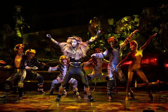 Des Flanagan as Rum Tum Tugger.