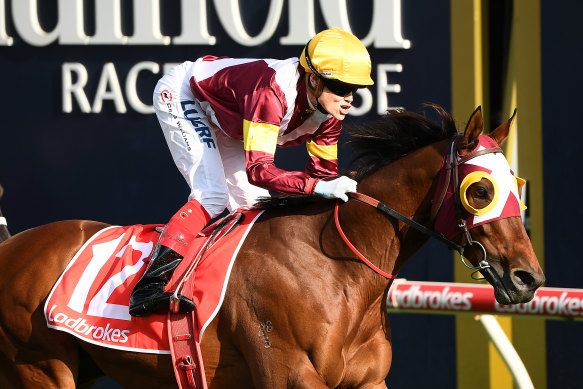 Fierce Impact takes the Toorak Stakes at Caulfield in the blinkers.