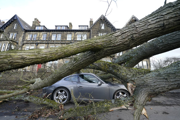 A Porsche 911 car is damaged by a fallen tree in Harrogate, North Yorkshire, England as a result of Storm Otto.