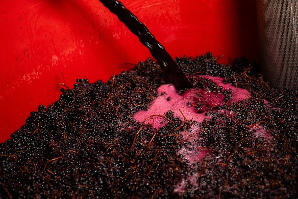 Carbonic maceration looks like a spa of syrah.
