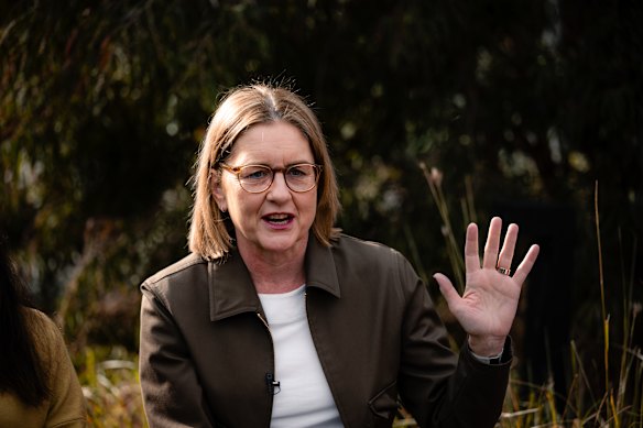 The Victorian Premier Jacinta Allan announcing funding to support parents whose kids have been cyberbullied to take on tech giants. She is under growing pressure to call a royal commission into the Big Build.