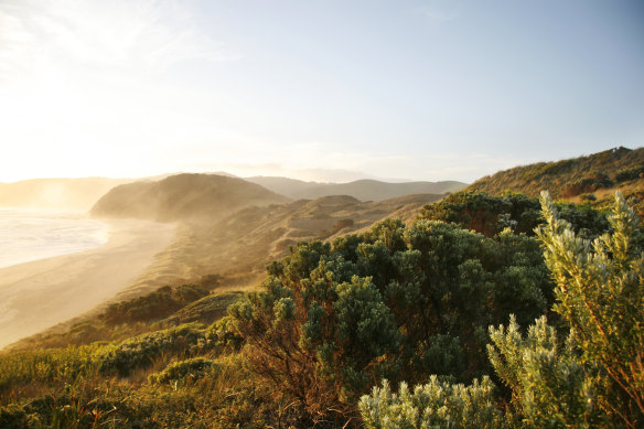Wild Johanna Beach.