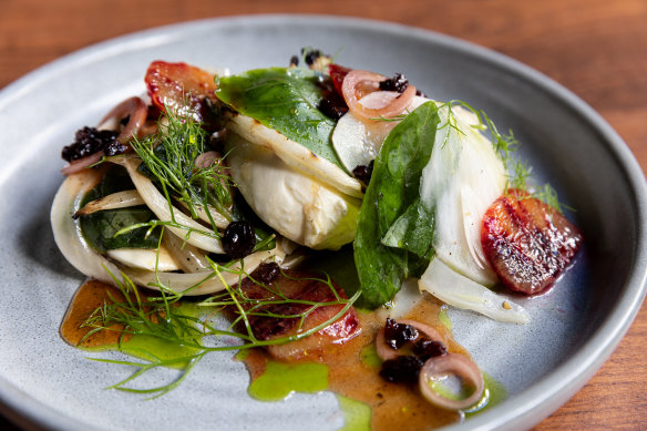 Fennel salad with blood orange.