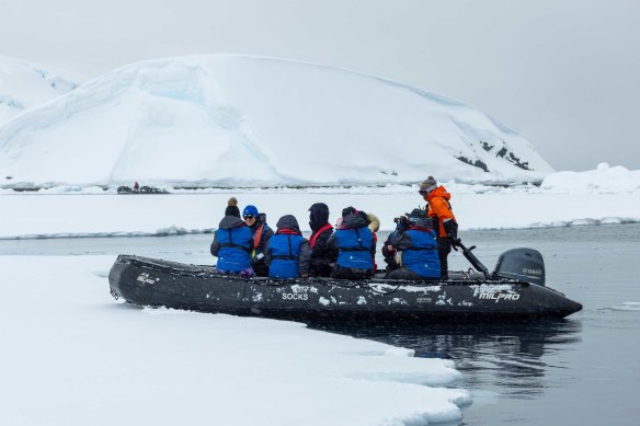 Dropping into the icy Southern Ocean from a zodiac becomes second nature.
