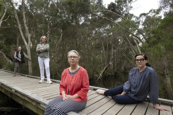 Conservation campaigner Louise Page (foreground), with Marg Hawker, Heather Forbes-McKeon and Katrina Larsen, says a new home needs to be found for the Forbidden Forest event.  