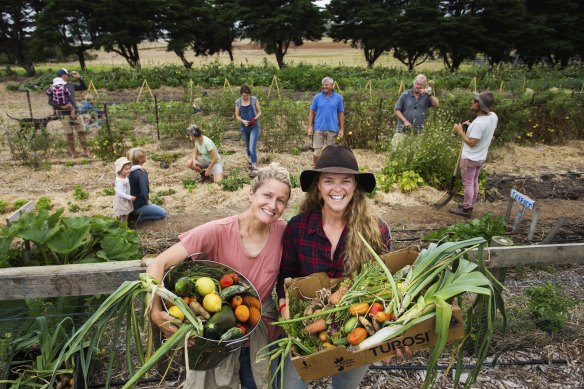 Lots for dinner: Kitty Walker (left),  Kelly Caldwell and fellow members of The Dairy vegetable garden at Marcus Hill, near Ocean Grove.