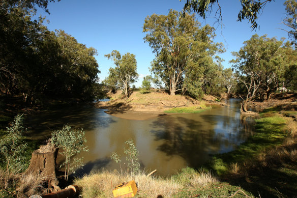 The Lachlan River outside Condobolin.