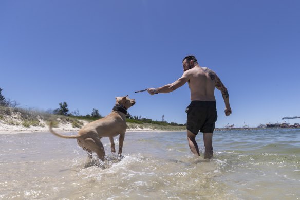 Dogs being allowed off-lead at the beach only works if the animal is under the control of its owner.