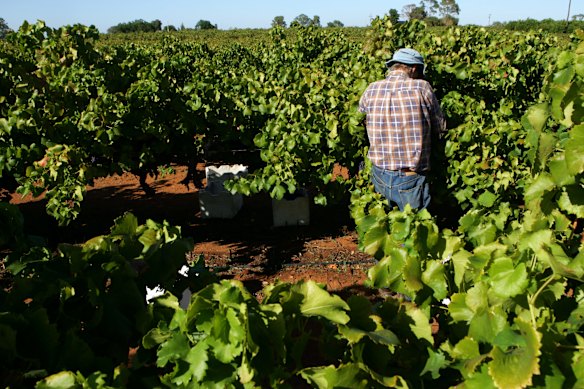 Proposals to cap migration often raise fears about populating the agricultural workforce.