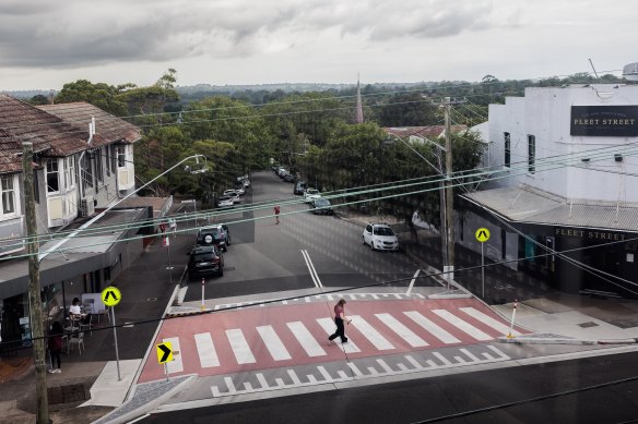 Ku-ring-gai Council claims the Minns government has failed to consider the impact of building apartment blocks on critically endangered habitat and species.