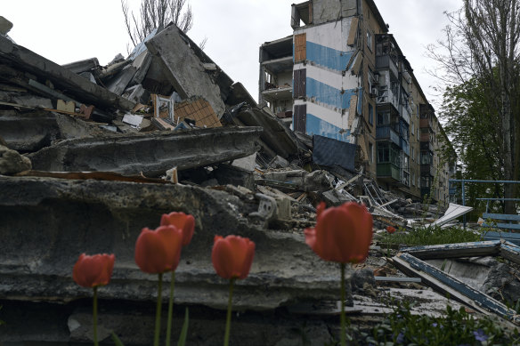 Tulips bloom amid debris of a ruined house in Avdiivka, in the Donetsk region, Ukraine.
