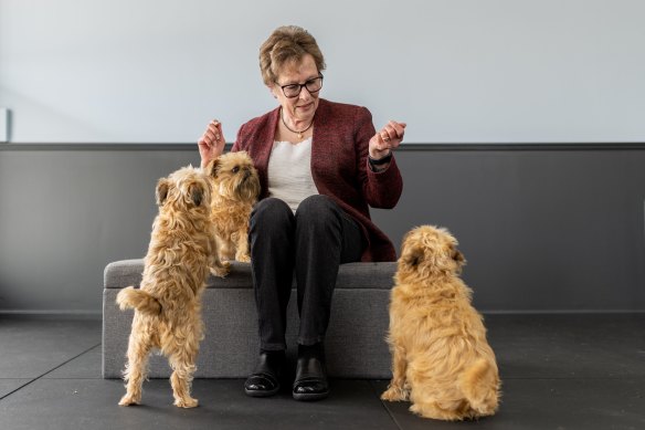 Debra Millikan, a dog trainer from Adelaide, with her three Brussels Griffons (from left), Laila, Roux and Ned.