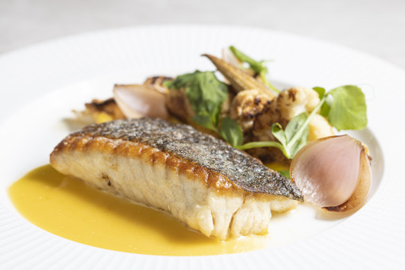 Murray cod with grapefruit beurre blanc.