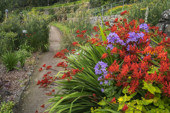 A riot of colour – the gardens contain plants from as far away as South Africa.