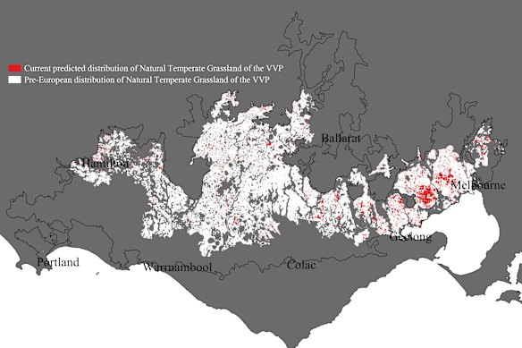 Land before and after the European rescue in the region of voltenic victorian victorian in western Victoria. 