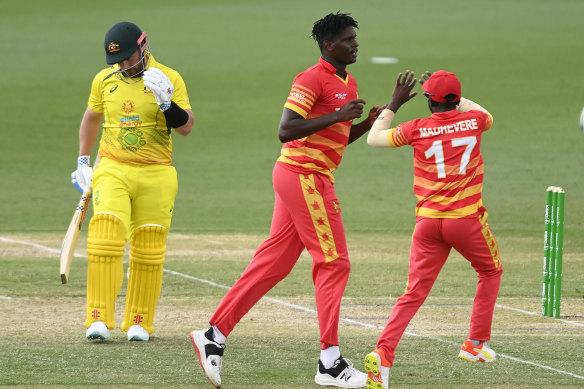 Richard Ngarava celebrates taking the wicket of Australian captain Aaron Finch.