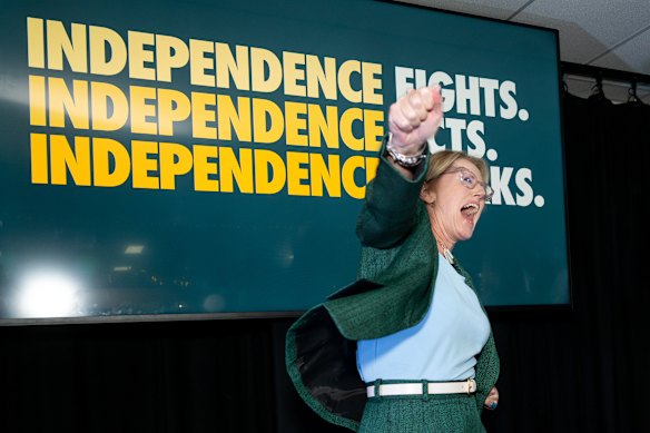 Zoe Daniel claimed victory on election night but on the final count Tim Wilson was victorious by 260 votes. Daniel has now successfully requested a recount. 