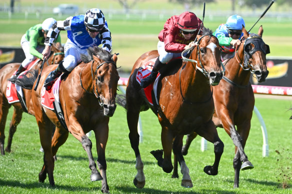 Jacquinot explodes through the centre in the Orr Stakes.