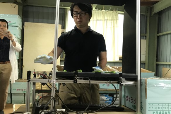 Makoko Koike, a former car-parts industry programmer, returned to his family farm 280 kilometres west of Tokyo to try to use artificial intelligence to improve the sorting of cucumbers by quality.