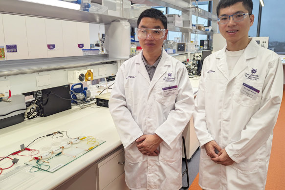 University of Queensland researchers Professor Xiwang Zhang and Dr Zhuyuan Wang published their work in the journal Nature Communications.