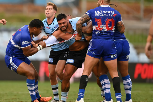 The heavyweights clashed in the first half of the Sharks-Dogs trial.