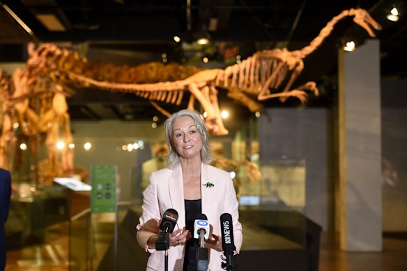 Museums Victoria chief executive Lynley Crosswell has expressed disappointment at leaks to The Age.