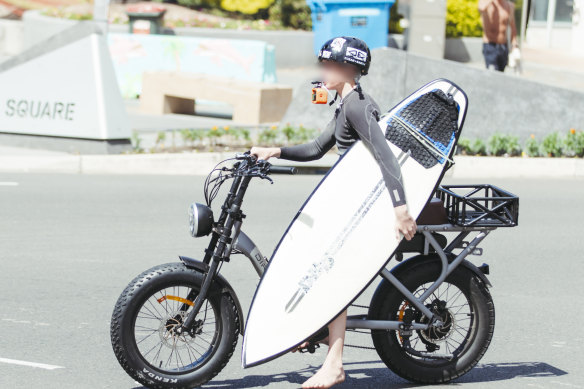 Fat bikes are motorbikes masquerading as e-bikes.