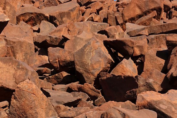 One of the engravings at the rock art gallery in Murujuga national park.