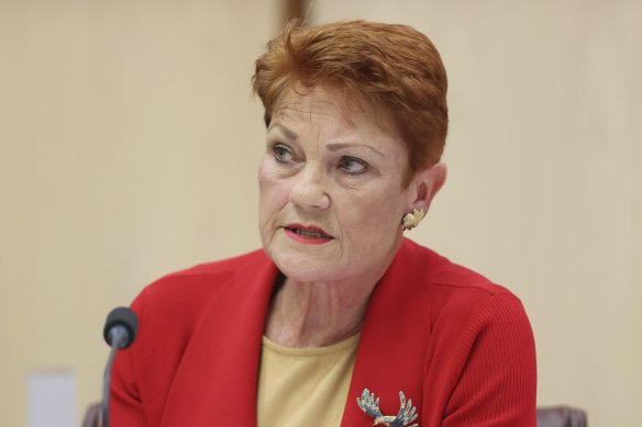 Pauline Hanson said the government’s planned rollback would leave Australians vulnerable to predatory banking conduct.
