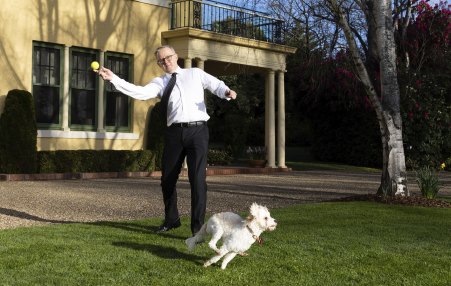 New order: Prime Minister Anthony Albanese with his dog Toto at The Lodge in Canberra.