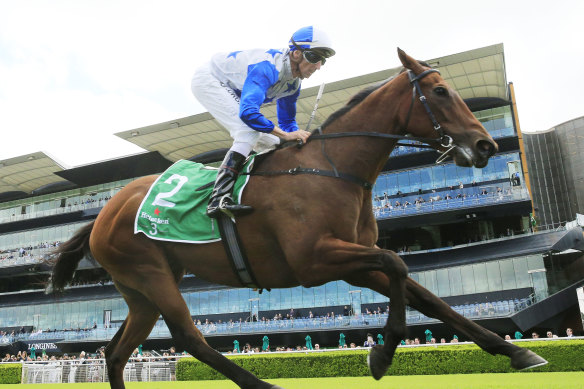 The Bostonian takes the Canterbury Stakes first-up in the autumn. He will be looking for a similar spring return in Saturday's Winx Stakes