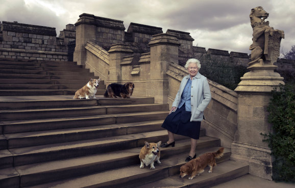 Queen Elizabeth II at Windsor Castle in 2016 with four of her dogs: clockwise from top left Willow (corgi), Vulcan (dorgie), Candy (dorgie) and Holly (corgi). The official photograph was released by Buckingham Palace to mark the Queen’s 90th birthday.
