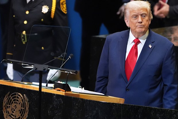 The Donald Trump show at the UN