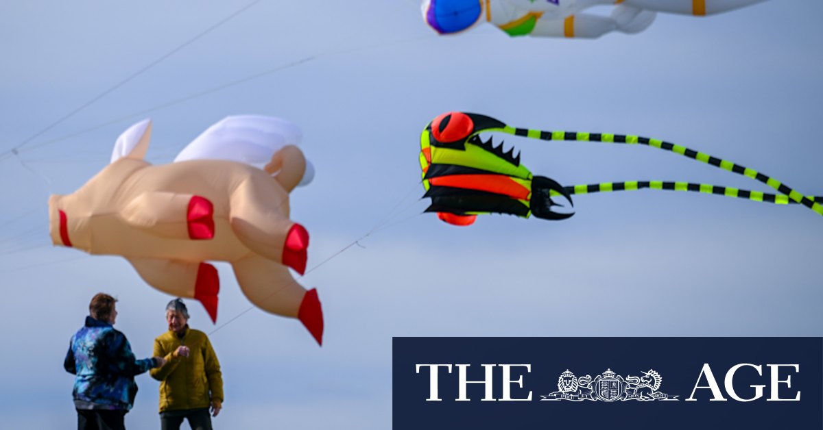 Flying kites for a living: a hobby turned into a business for prize-winning Melbourne woman Jo Baker - Vimarsana News